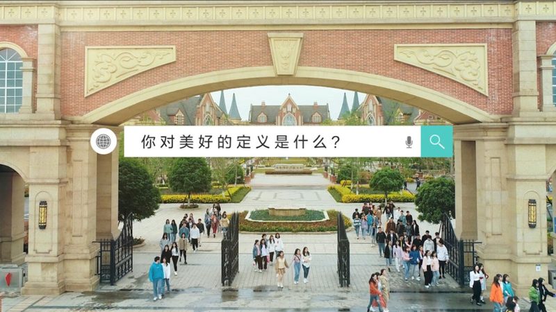 MG动画与Flash：动画制作中的双剑客，如何选择？**